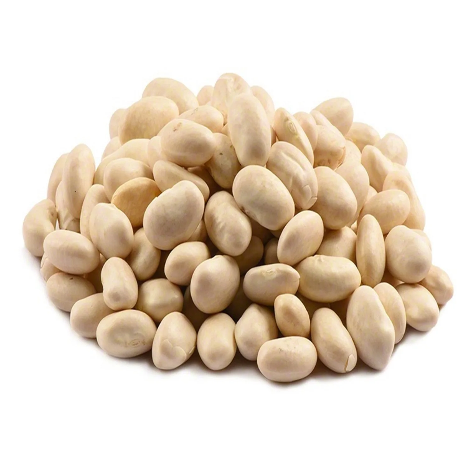 Premium Bulk Top Grade White Kidney Beans / Large Size Thai Origin for Export