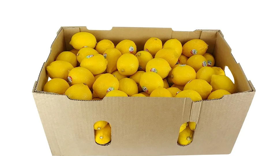 LEMON 6.jpg