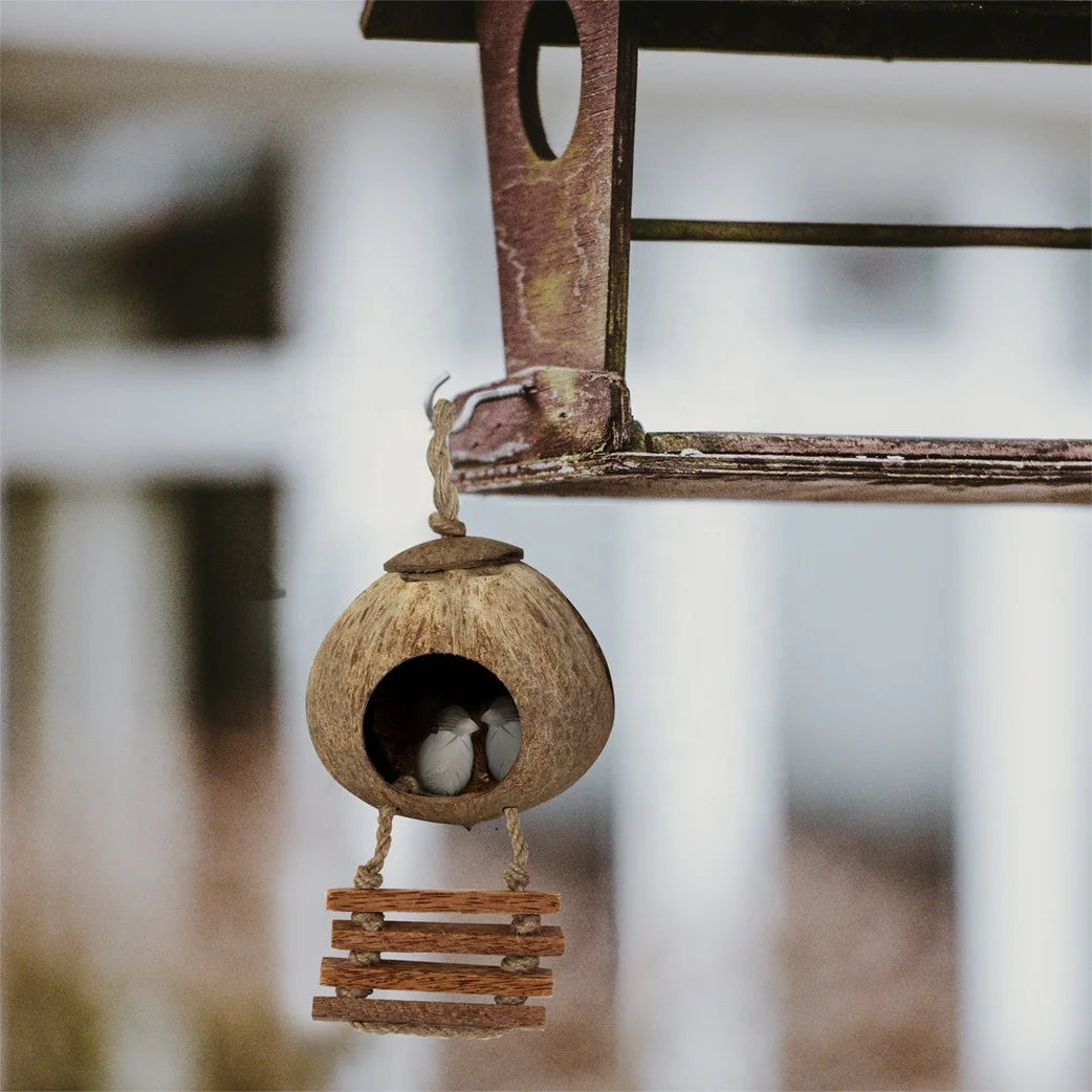 Multifunctional Coconut Shell in Window Wild Bird Feeder Coco Shells ...