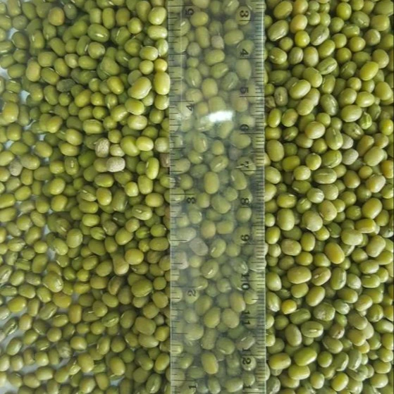 Wholesale And Retail Of Additivefree Mung Beans Grown Pure Green In