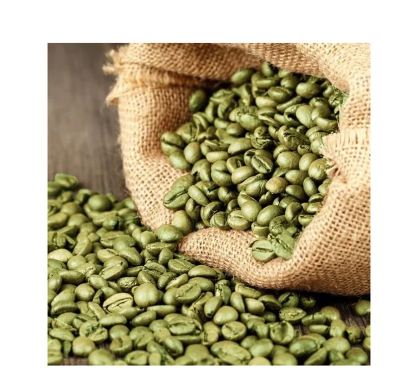 Top Quality USA Bulk Quantity Robusta Coffee and arabica coffee beans roasted In Factory Price