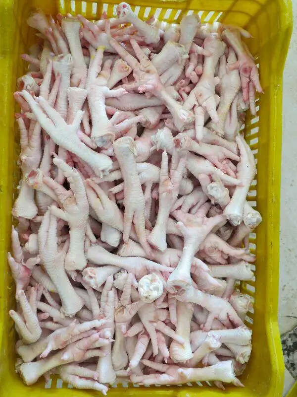 Clean And Hairless White Skinned Ammoniafree Frozen Chicken Feet In