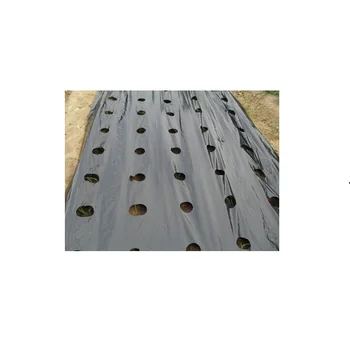 Standard Quality Agriculture Films Mulch Films For Agricultural Use