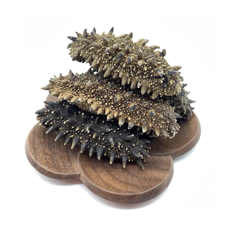 High Quality Dried Sea Cucumber Sizes For Beauty Treatment Dry Sea