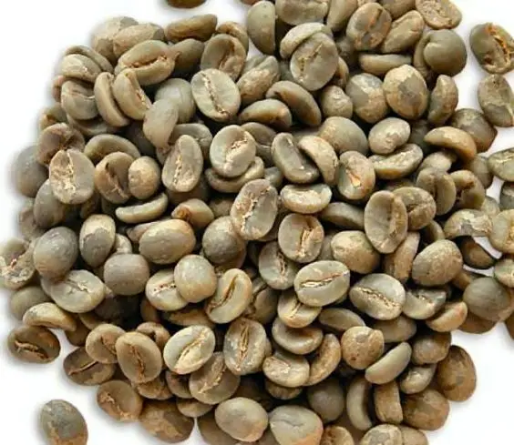 Hot sale green Robusta coffee beans