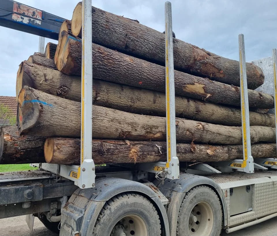 Eucalyptus Wood Log Timber Logs,Pine Wood Timber,Pine Wood Logs Timber
