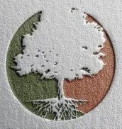 Company Overview - ONE TREE