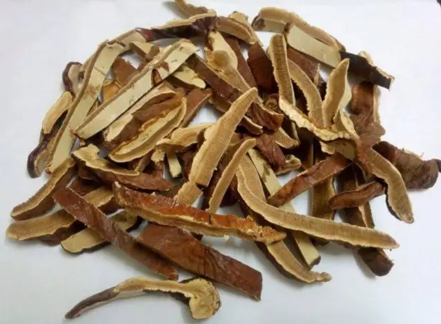 High Quality Dry Reishi Mushroom (Lingzhi) Competitive Price From Vietnam