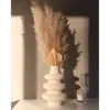 Como se muestra