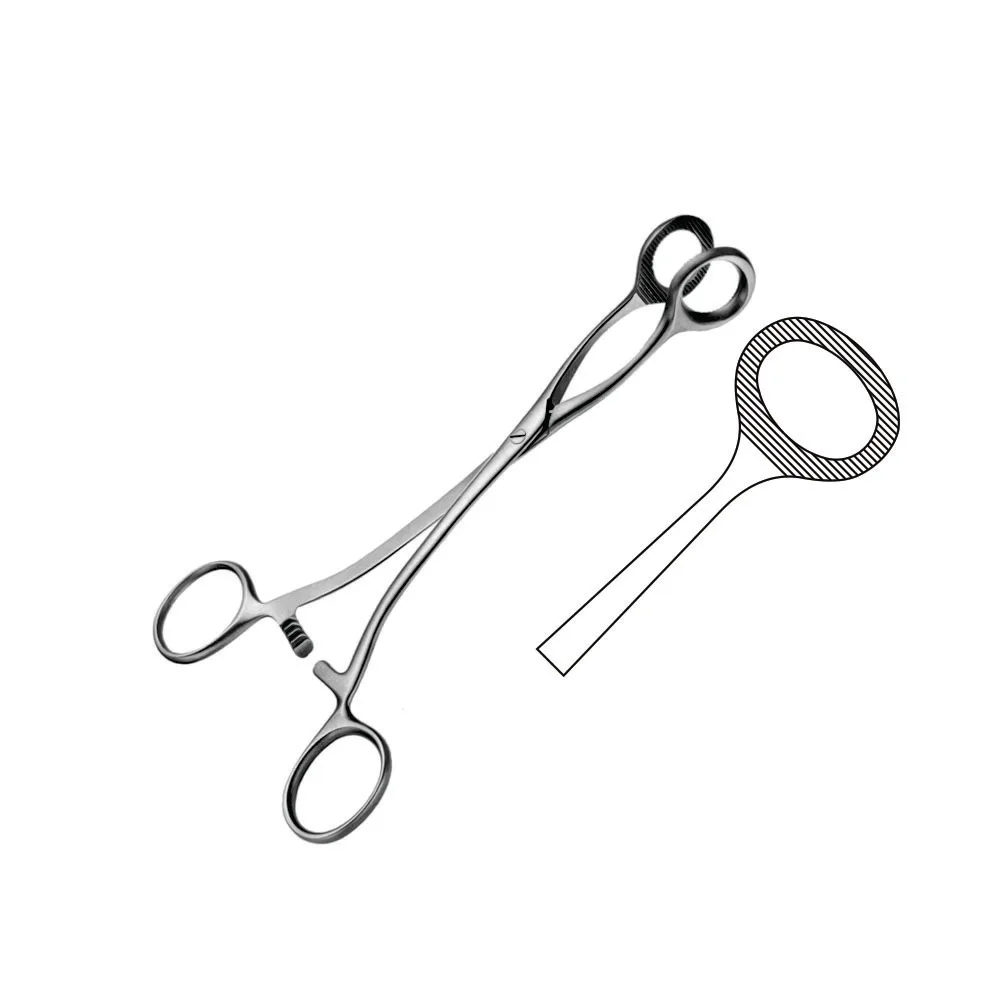Museux Tenaculum Forceps 3 X 3 Teeth # 2 -  11 mm Uterine Forceps Stainless Steel  Gynecology Instruments 26 Cm/ 10 1/4"