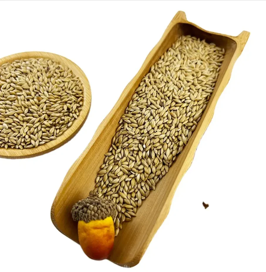 Factory Supply Canary Seed Canary Bird Seed Alpiste With Good Price Wholesale Canary Seeds