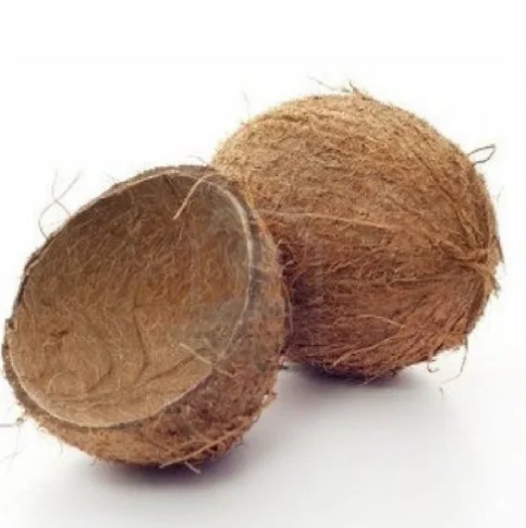 HOT DEAL EXPORT COCONUT SHELL BEST PRICE in the MARKET