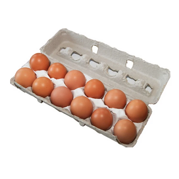 Quality Fertilized Fresh Brown Table Chicken Eggs Cheap Fresh Chicken