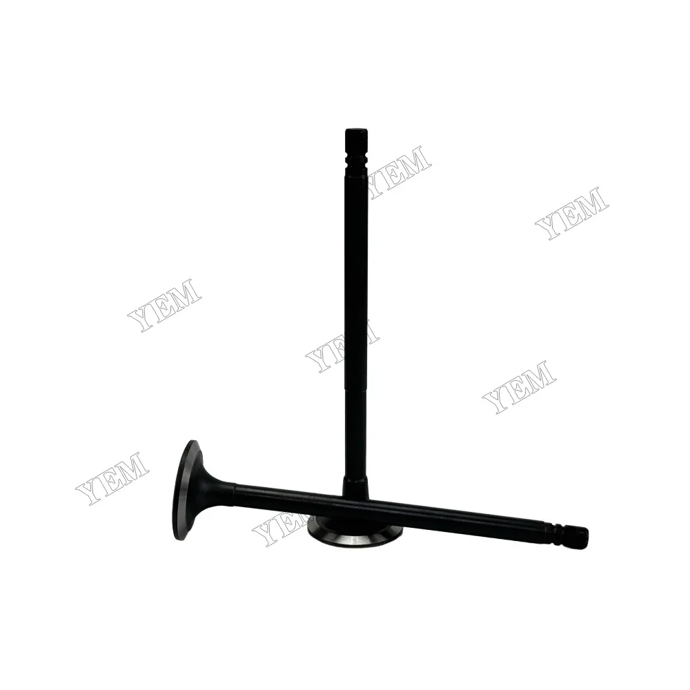 Intake Valve 6610-41-4110 Fit for NH220 Engine 4
