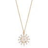 Rose d'or