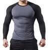 Iron Gray with Black Sleeves