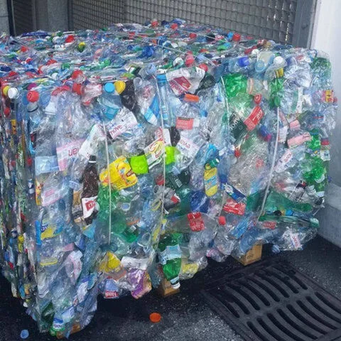 image (29).png