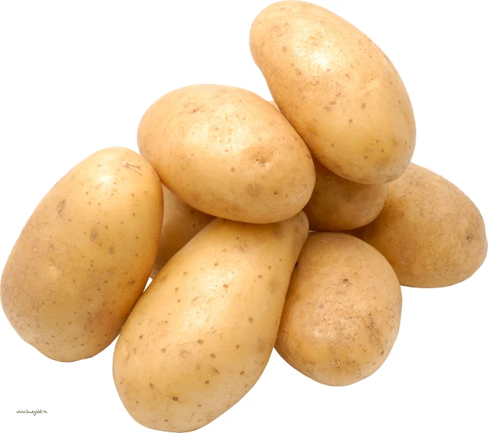  (2).png