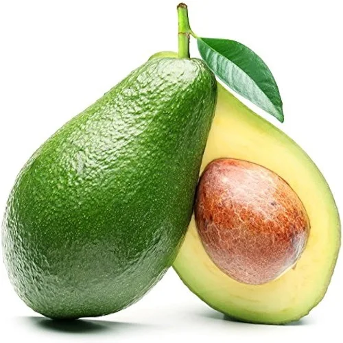 Fresh Avocado with Global Certifications Exporter
