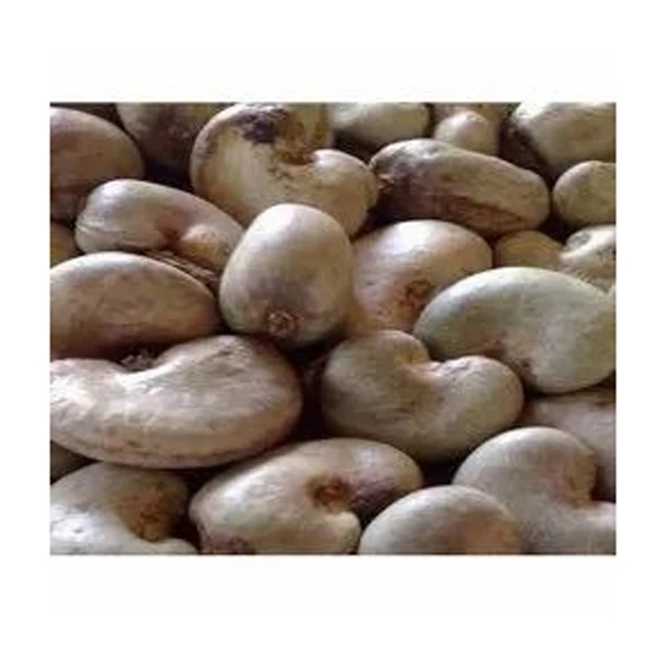 Cheap Price Kernel Organic Quality Cashews Nut Supplier Offers Benin Raw Cashew Nuts In Shell