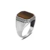 Tiger Eye