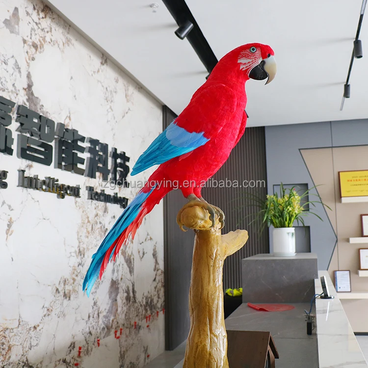Decorative Mascot Speaking and Moving Robotic Simulation Animatronic Parrot Model