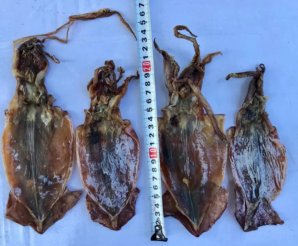 Hot Selling 2022 Dried Black Squid Made In Vietnam Factory Price And