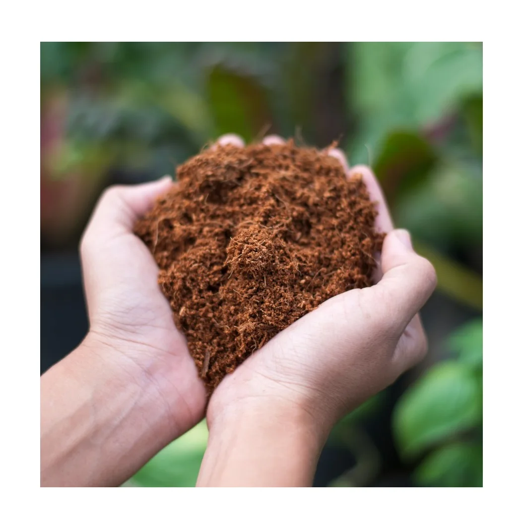 Wholesale Bulk Coconut Coir Pith Coco Peat Blocks Buy Hot Sale