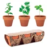 Legno