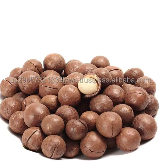 Roasted Macca/macadamia Nuts In Shell,Wholesale Usa Roasted Macca