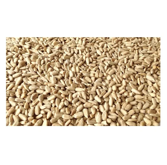 High Quality Sunflower Seeds Market Price With Export Sunflower Seeds