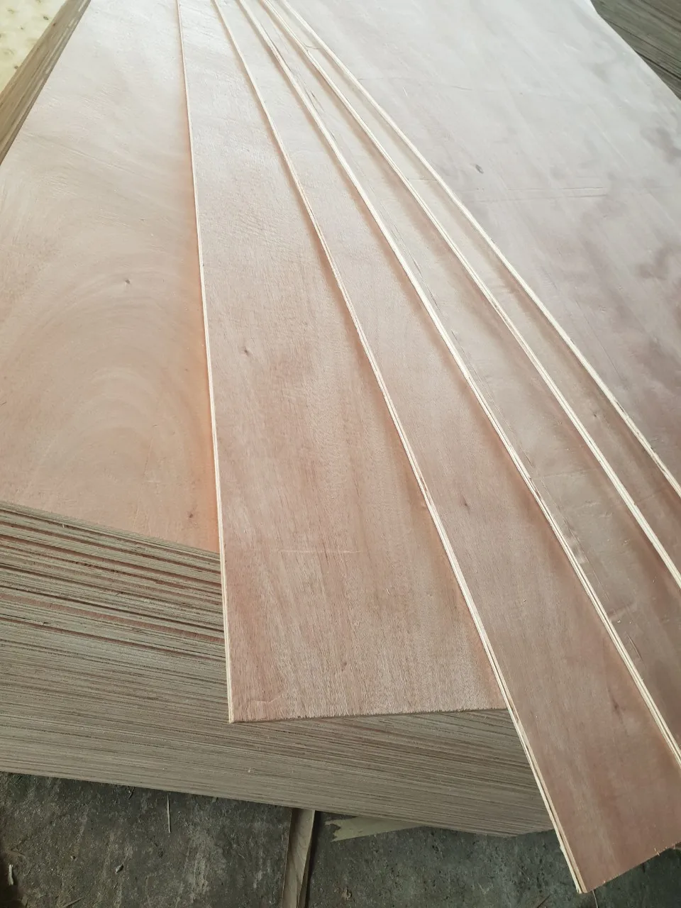 Vietnam Factory Poplar Birch Plywood Veneer Faced Commercial Plywood ...