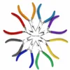 Customized color