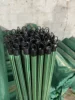 Green Stripe