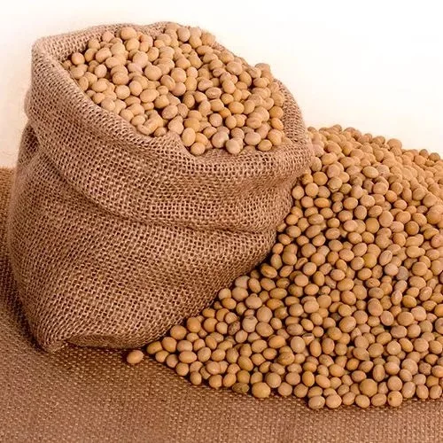 Wholesale Soyabean Seed Dried Soybeans Grains Nongmo Soy Bean Buy