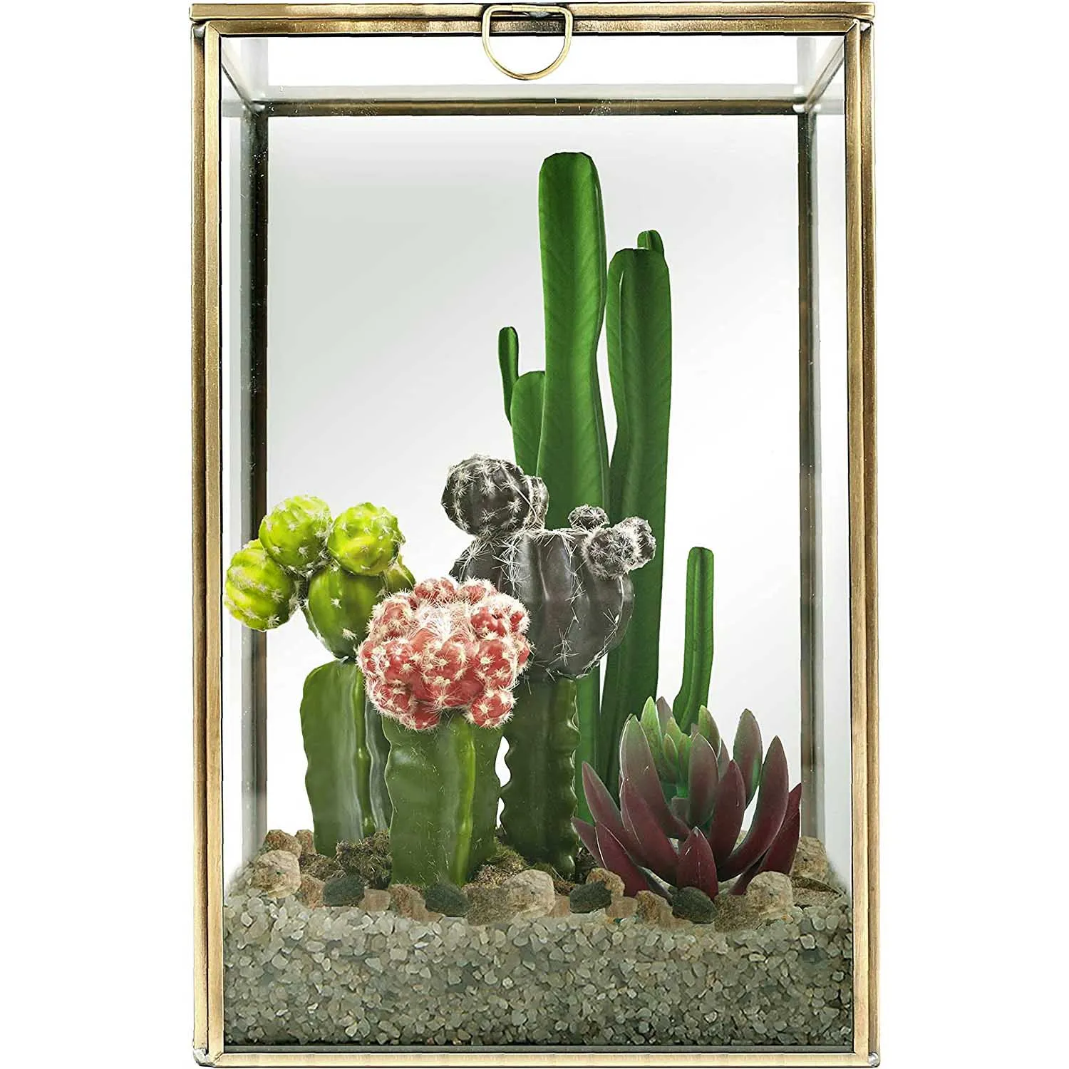 Standing Clear Glass Box Brass Metal Frame Tabletop Curio Case Shadow Box Jewelry Organizer Tabletop Display Box