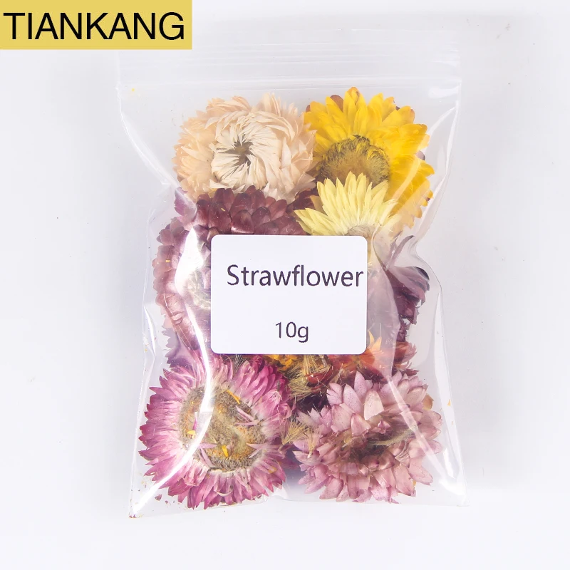 flowers7.jpg