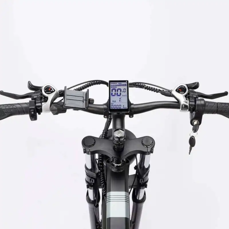 RIDSTAR H26 Pro 26 Fat Tire Electric Foldable Bike with 1000W Motor and 48V 23Ah Lithium Battery Power Supply