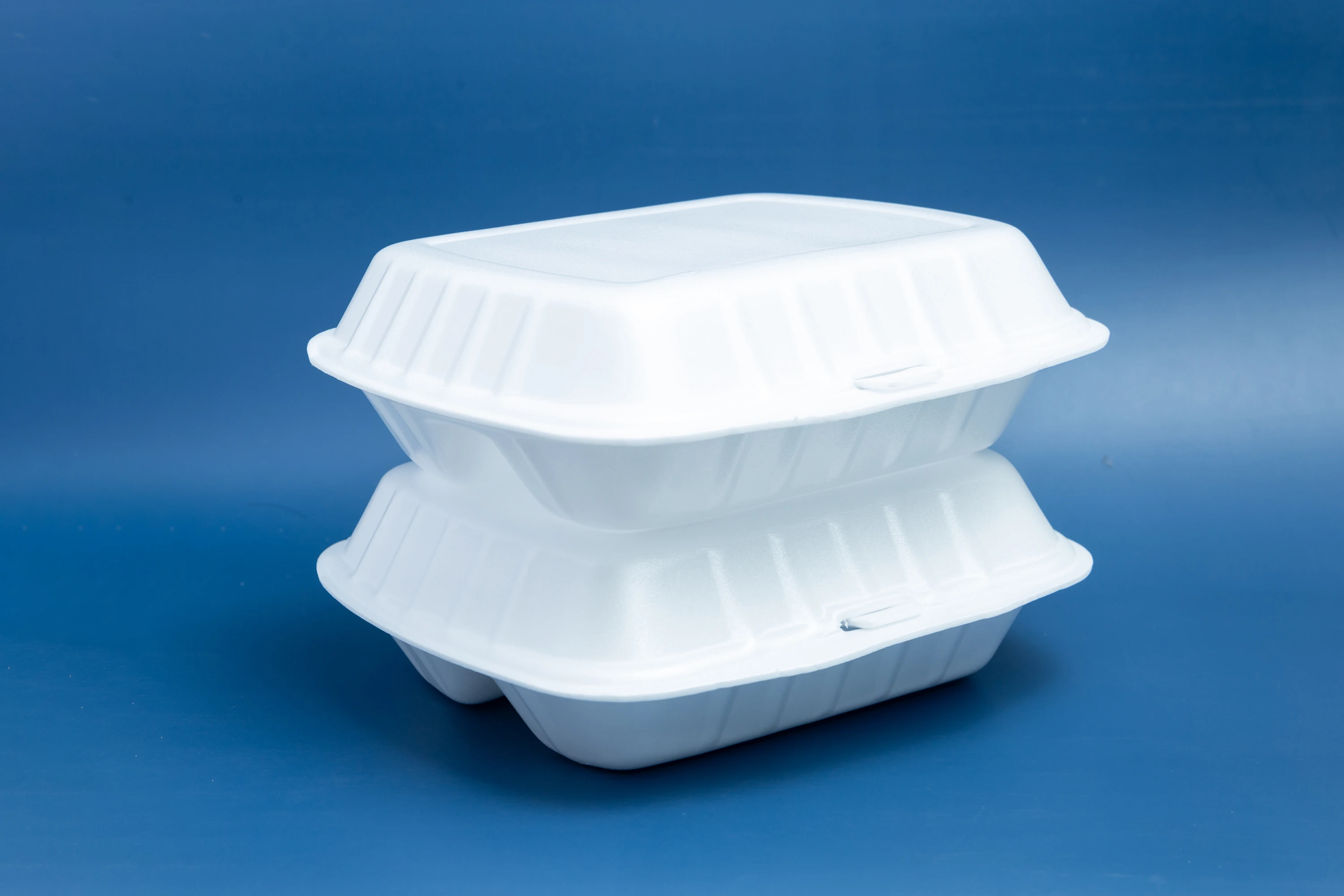 Disposable Partition Food Containers Food Container Supplier Ps Foam