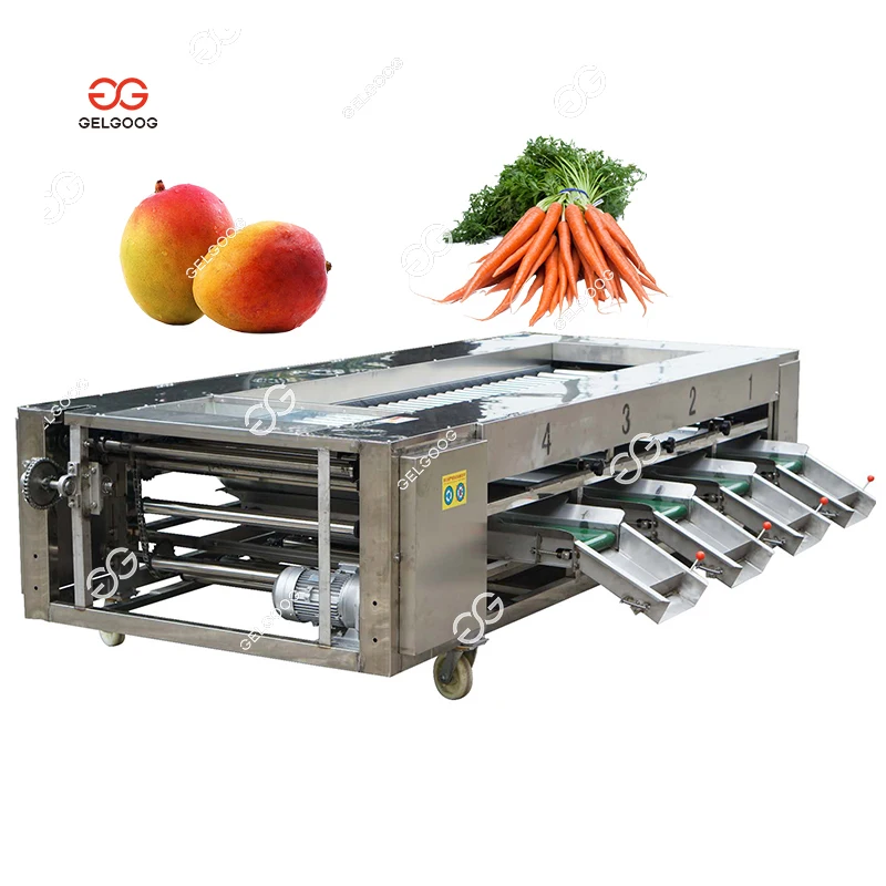 Gelgoog Automatic Chestnut Sweet Potato Sorting Machine Price Electric Potato Calibrator Sorter