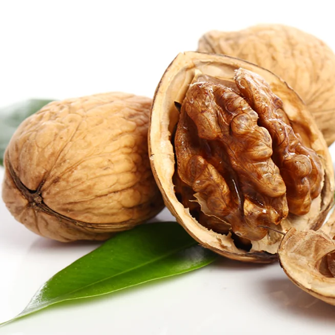 Walnuts Best Seller Manufacturer Wholesale Premium Organic Walnuts In