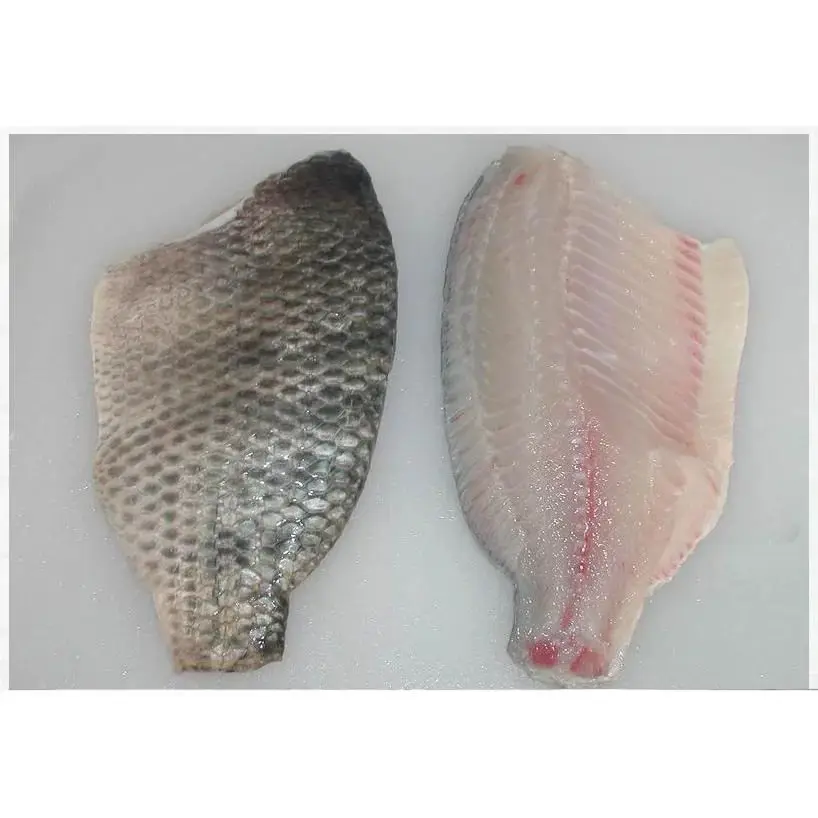 Fresh Tilapia Fish Frozen Tilapia Fish With Cheap Price Wholesale From