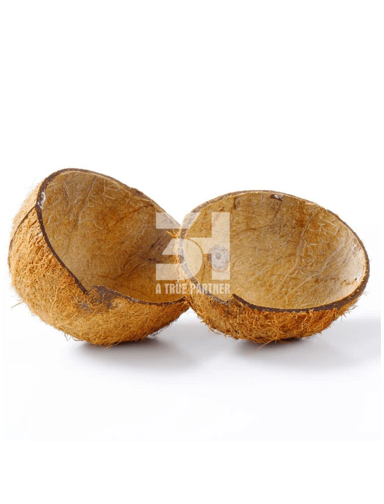 Vietnamese Products Coconut Shell Raw In Bulk With Cheap Price And Ready To Ship Buy Coconut