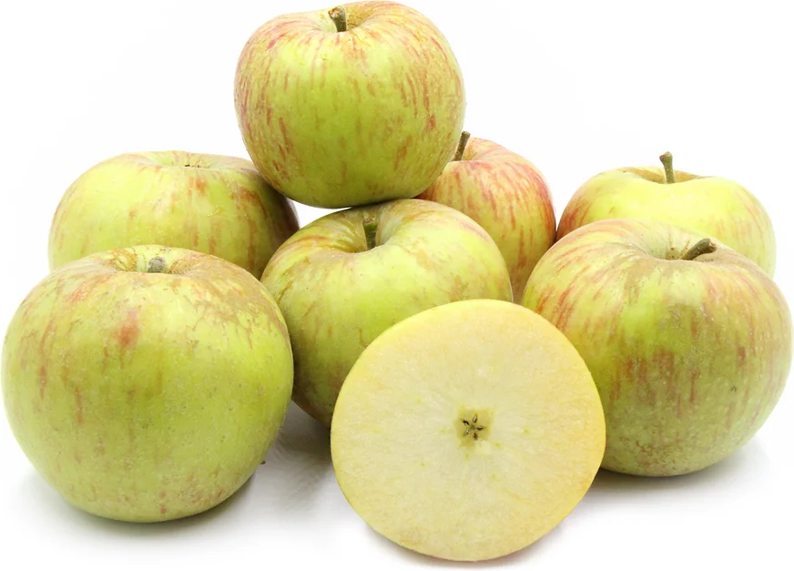 jonaAPPLE4.png