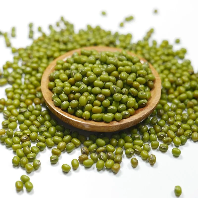 Green Mung Beans Moong Dal Dried Huskless Green Mung Beans Buy Mung Beans Beans Agriculture