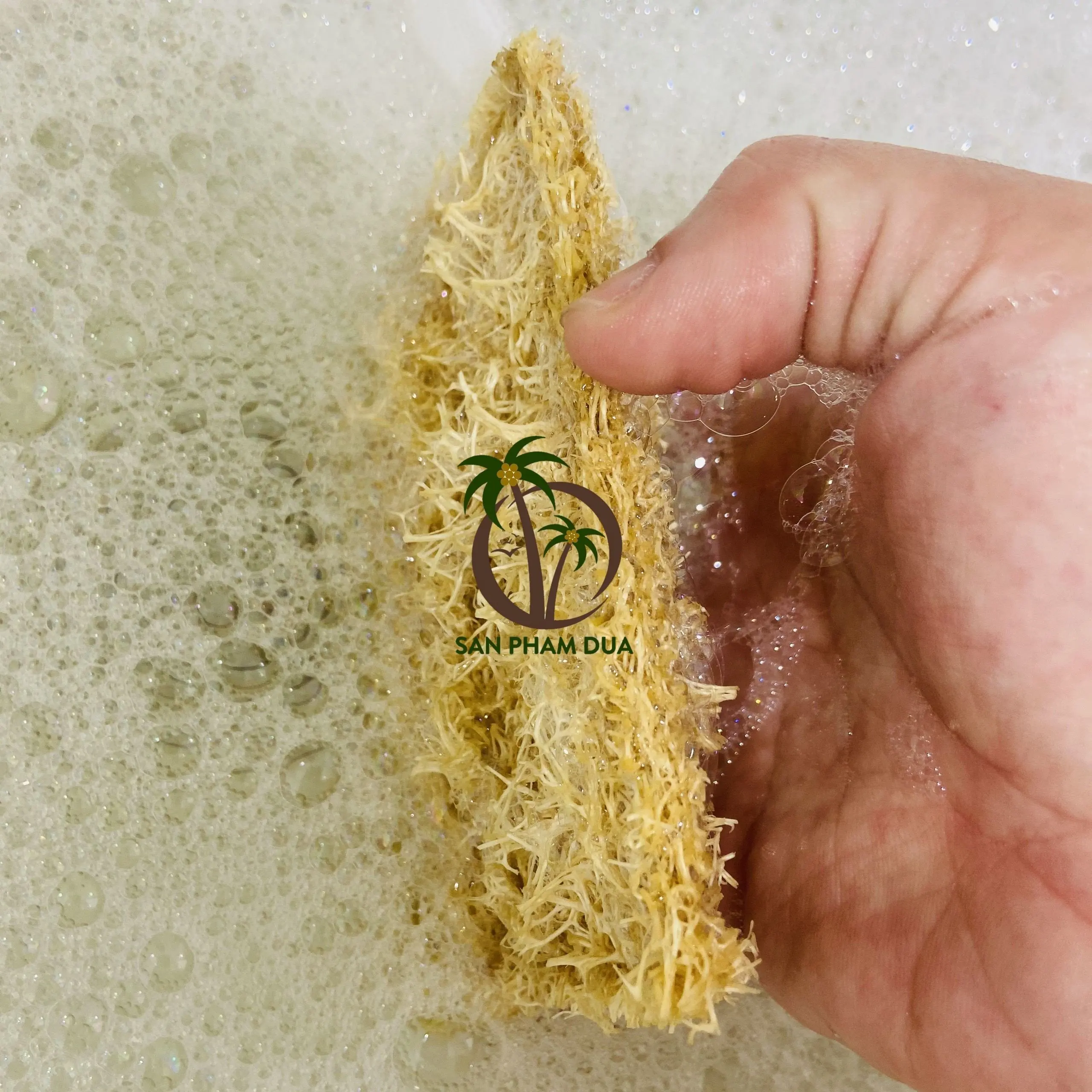 Brand Coco Eco Friendly Loofah Sponge Handmade In Viet Nam / Natural