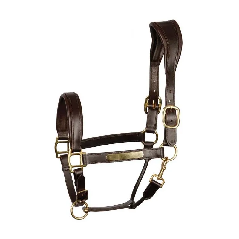 Latest Best 2023 Western Horse Halters Nylon Horse Halter Available In