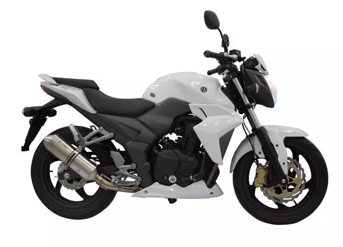 Sym Wolf 250 Engine SYM OEM Genuine ECU Wolf SB250Ni T2 250 For