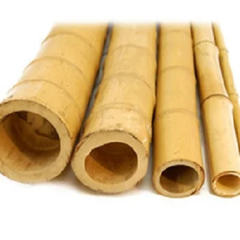 Cheap Bamboo Poles for Garden greenhouse made in Vietnam