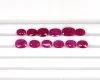Rose rougeâtre